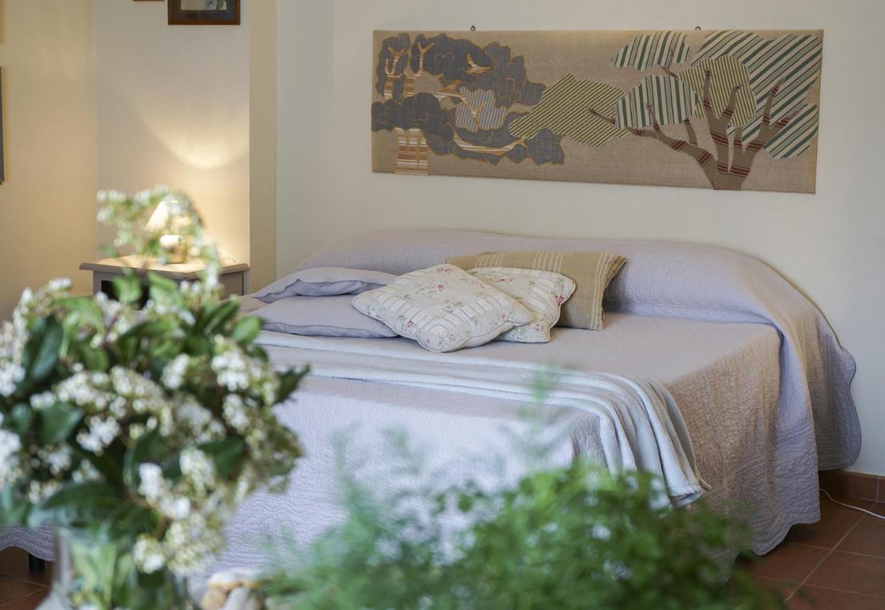 Locanda Degli Alberi Sassetta Luaran gambar